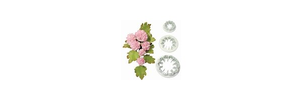 Blumen & Blätter