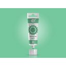 RD ProGel Concentrated Colour - Mint Green