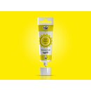 RD ProGelÂ® Concentrated Colour - Yellow