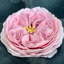 FMM - A Very English Rose Cutter - 3 Set - inspired by David Austin Rose Cutter