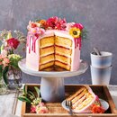 FunCakes Mix für Biskuit Deluxe 4kg