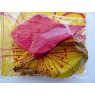 Silikonstempel / Veiner & Ausstecher Set-Amaryllis...